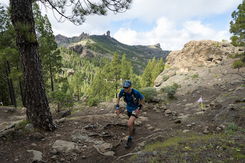 The World Trail Majors a man running along a dusty trail with pine trees and mountains in the distance behind him